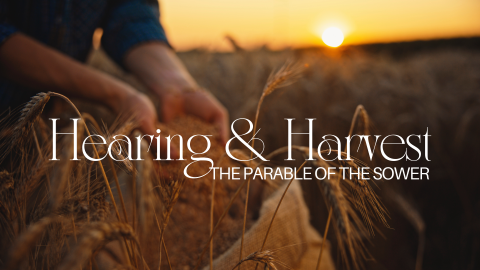 Hearing & Harvest